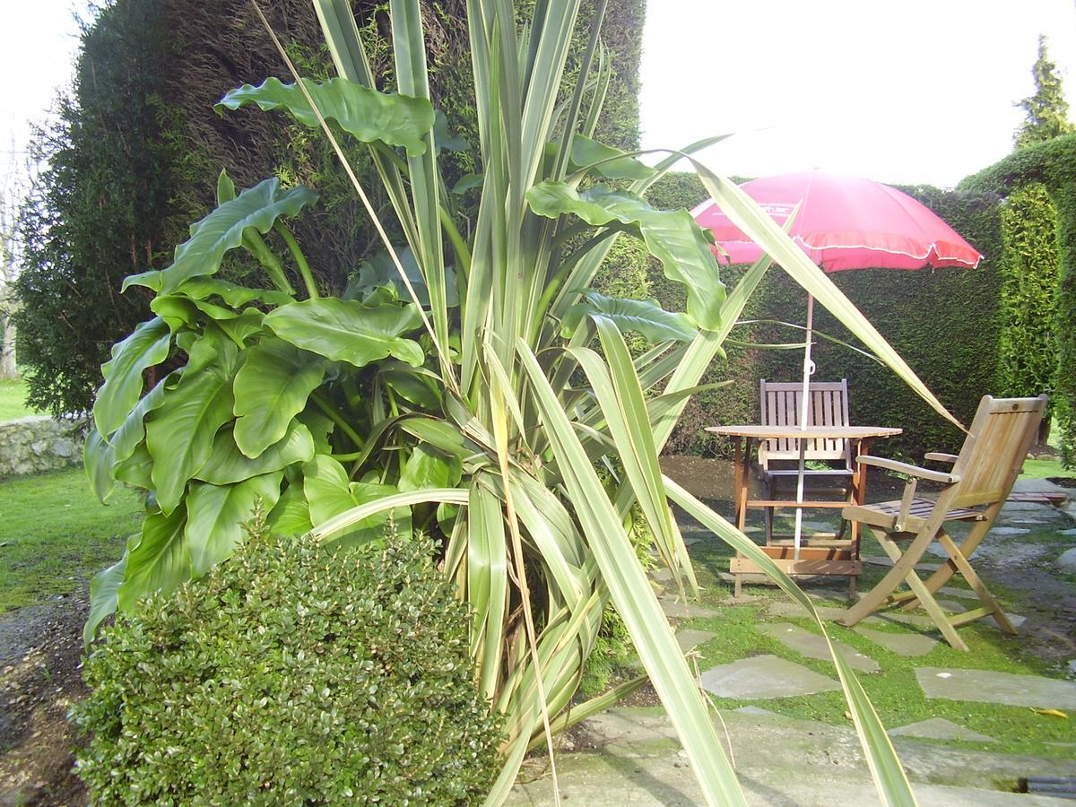 Apartament El Magnolio Santillana del Mar Zewnętrze zdjęcie